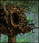 File:Fortress Wyvern Nest.gif