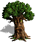 Tree of Knowledge.gif