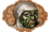 Stone Skin small.png