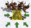 File:Dragon Fly Hive (vs).png
