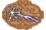 Ice Bolt small.png