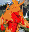 File:Creature portrait Fire Elemental small.gif