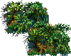 File:AVLSWMP4.webp